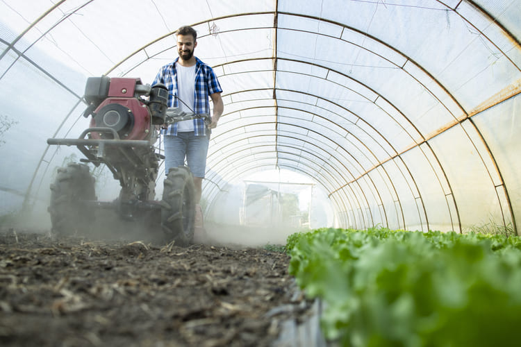 agricultural application of calcium sulfate